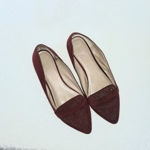 Aldo Pointed Toe Ballet Flats